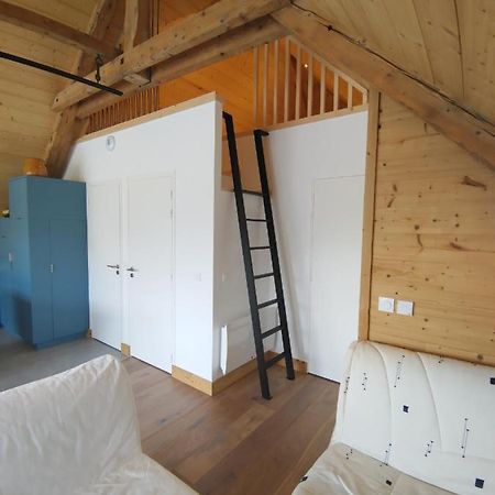 Logement Entre Lac Et Montagne Άννεσι Εξωτερικό φωτογραφία